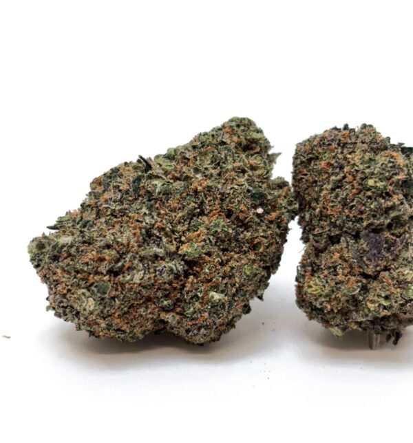 (ZKT)Gorilla Mandarina CALI