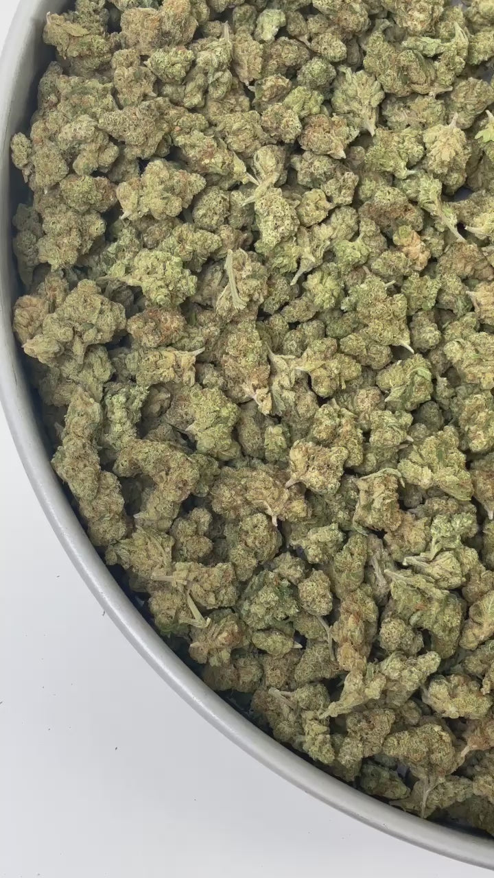 Amnesia US (Boost)