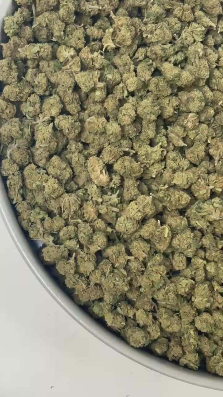 Bubble Gum